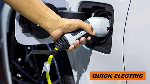 Fast, One Time Service In North Harbour